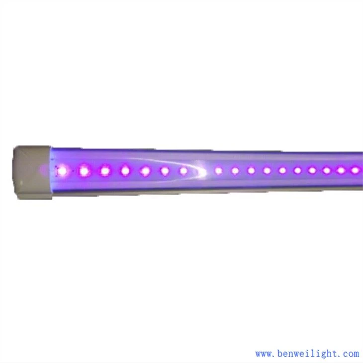 UV dirije Tib limyè 12 Watt
