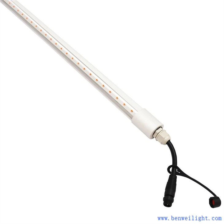 poultry led light