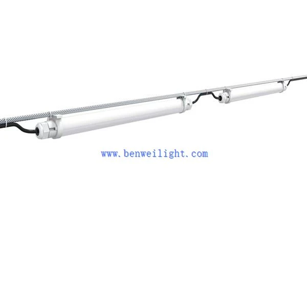 Dirije Broiler Lighting