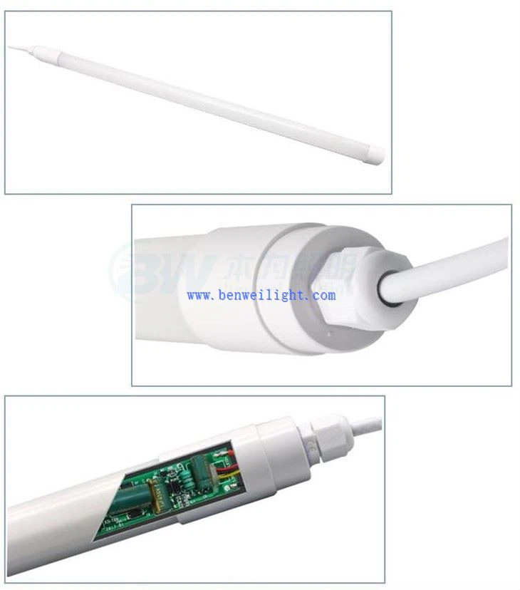 Ki ap dirije ekleraj nan pwodiksyon bèt volay