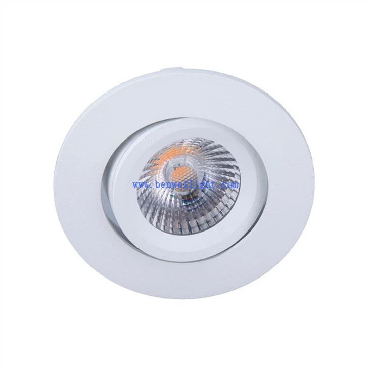 Low Voltage Downlight