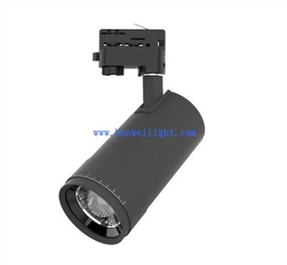Entegral dirije Downlight