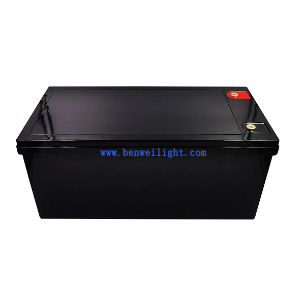 Auto rechargeable Lithium ion Lifepo4 batteries