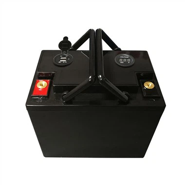 12v 100ah Lityòm Iron Phosphate Battery
