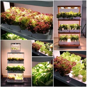 3-Layer Vertical Hydroponic Growing System | Indoor Smart Plant Growing Tower with Auto Timer factory