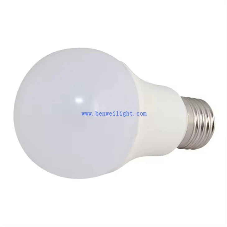E27 Indoor Bulb (1)