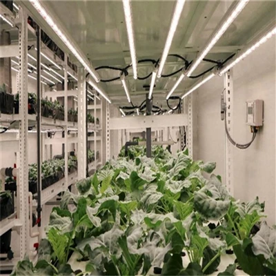 Full Spectrum vs. Red-Blue Mixed Light: Which Grow Light Is Better for Your Growing Scenario? Full Spectrum vs. Red-Blue Mixed Light: Which Grow Light Is Better for Your Growing Scenario?