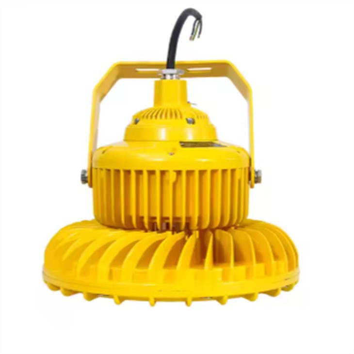 explosion proof led lights