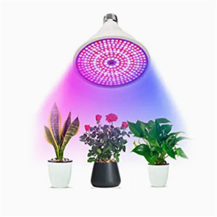 grow lights for seedlings
