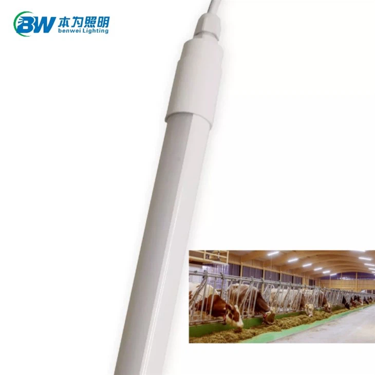Dirije Tib Poultry Limyè Waterproof Dimmable