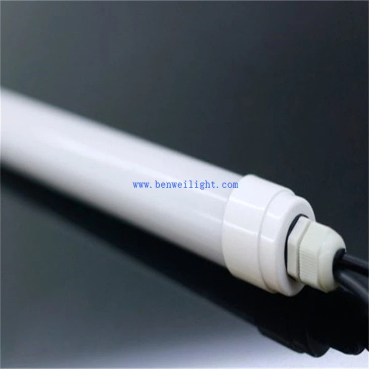 Livestock Facility Lamps (1)