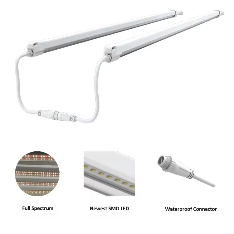 product-750-750