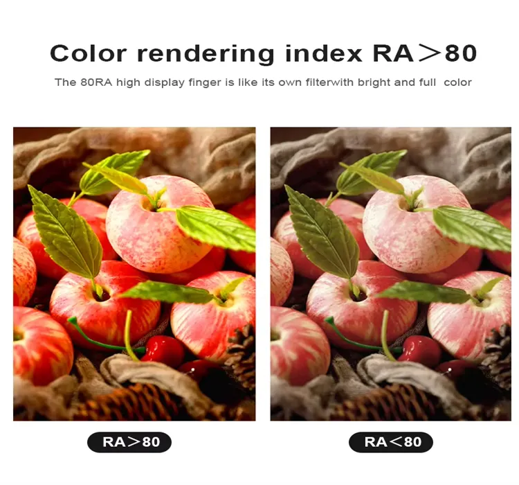product-750-700