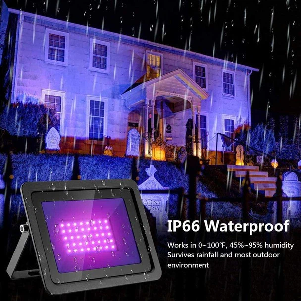 product-608-608