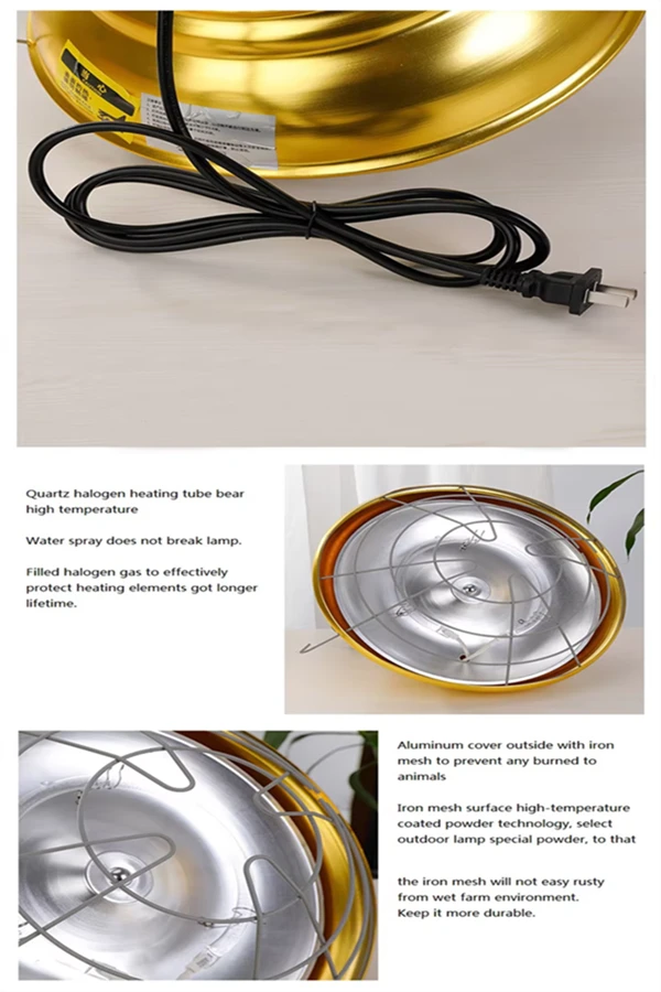 product-600-900