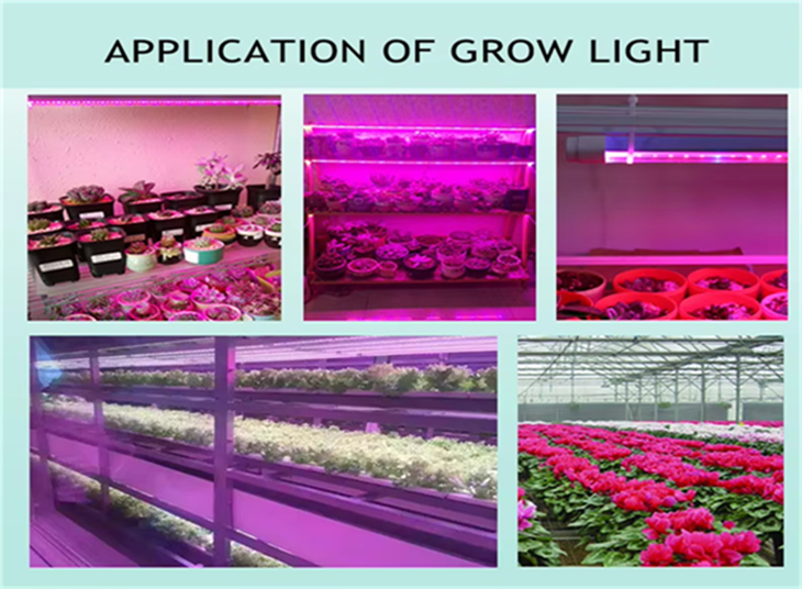 UV Light For Plants price